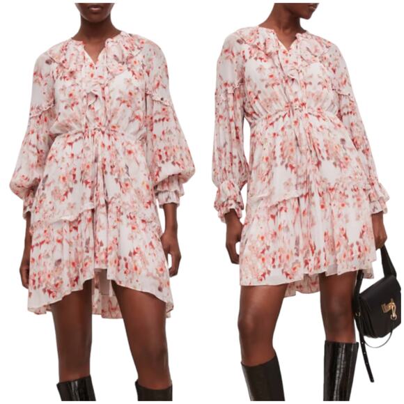 Allsaints NWT Ava Momo Floral Long Sleeve Ruffle Dress Size 2 Sheer Crinkle Pink - Picture 2 of 13